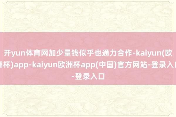 开yun体育网加少量钱似乎也通力合作-kaiyun(欧洲杯)app-kaiyun欧洲杯app(中国)官方网站-登录入口