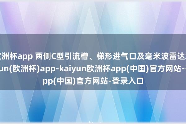 欧洲杯app 两侧C型引流槽、梯形进气口及毫米波雷达组件-kaiyun(欧洲杯)app-kaiyun欧洲杯app(中国)官方网站-登录入口