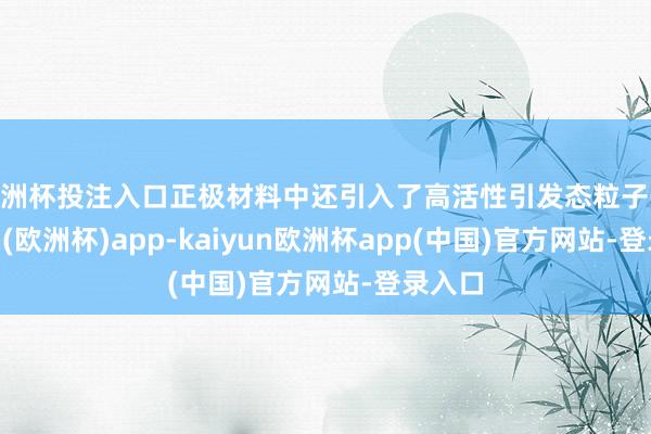 欧洲杯投注入口正极材料中还引入了高活性引发态粒子-kaiyun(欧洲杯)app-kaiyun欧洲杯app(中国)官方网站-登录入口