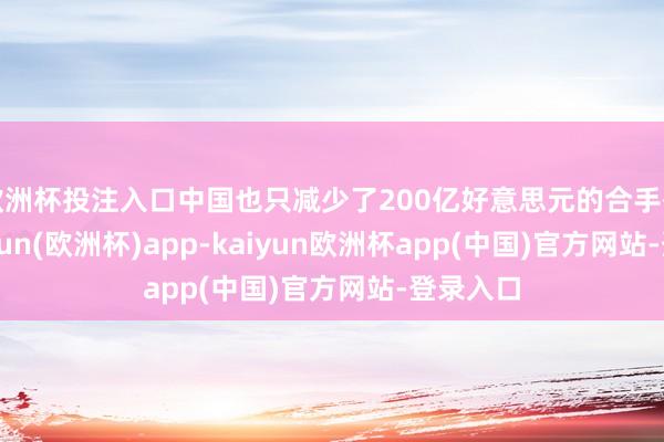 欧洲杯投注入口中国也只减少了200亿好意思元的合手有量-kaiyun(欧洲杯)app-kaiyun欧洲杯app(中国)官方网站-登录入口