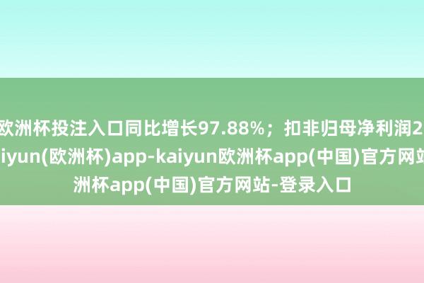 欧洲杯投注入口同比增长97.88%；扣非归母净利润2.74亿元-kaiyun(欧洲杯)app-kaiyun欧洲杯app(中国)官方网站-登录入口