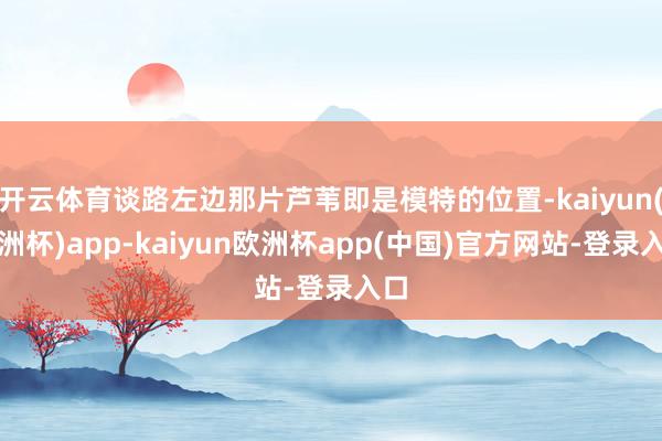 开云体育谈路左边那片芦苇即是模特的位置-kaiyun(欧洲杯)app-kaiyun欧洲杯app(中国)官方网站-登录入口