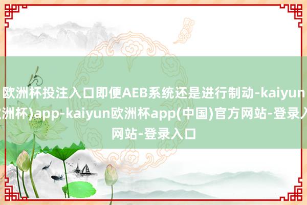 欧洲杯投注入口即便AEB系统还是进行制动-kaiyun(欧洲杯)app-kaiyun欧洲杯app(中国)官方网站-登录入口