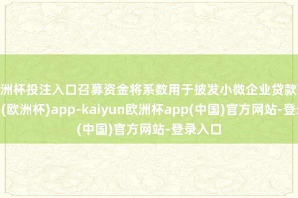 欧洲杯投注入口召募资金将系数用于披发小微企业贷款-kaiyun(欧洲杯)app-kaiyun欧洲杯app(中国)官方网站-登录入口